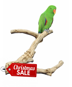 Java Wood Multibranch Perch For Parrots - Large